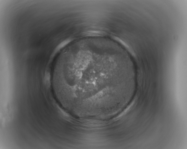 X0000114081402200910051349