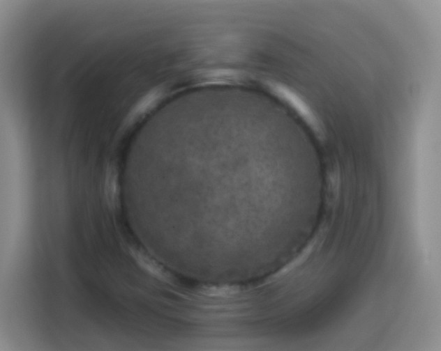 X0000114081403200910051349