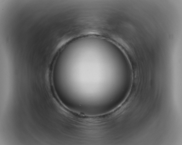 X0000114081404200910051349