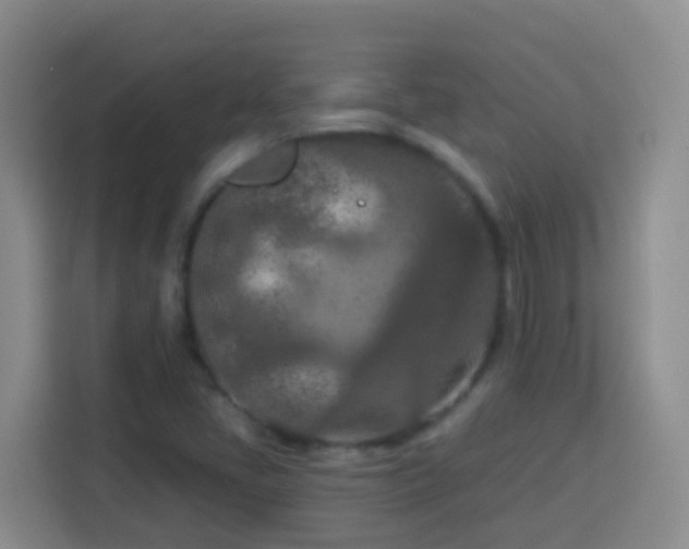 X0000114081405200910051349