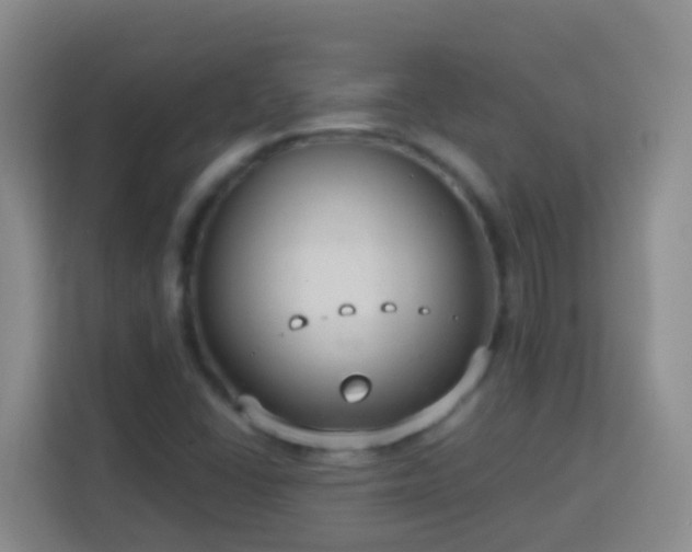 X0000114081406200910051349