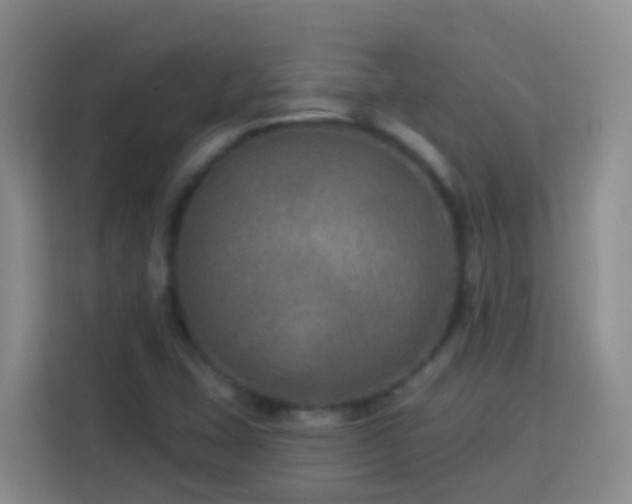 X0000114081407200910051349