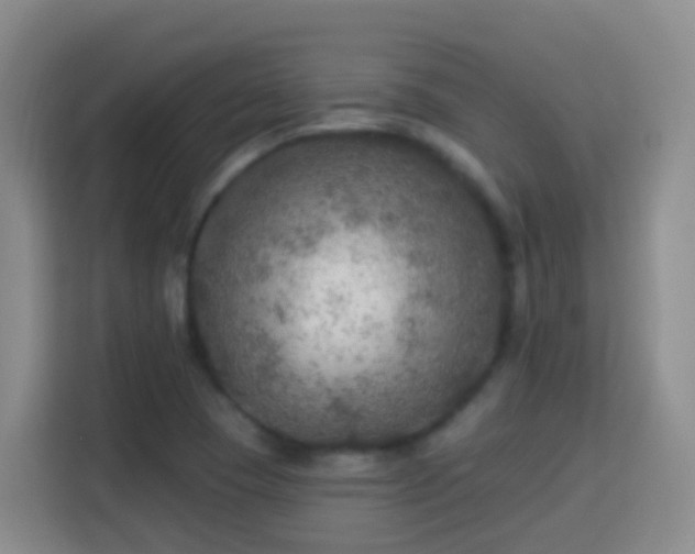 X0000114081409200910051349