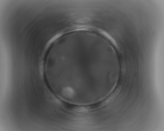 X0000114081411200910051349