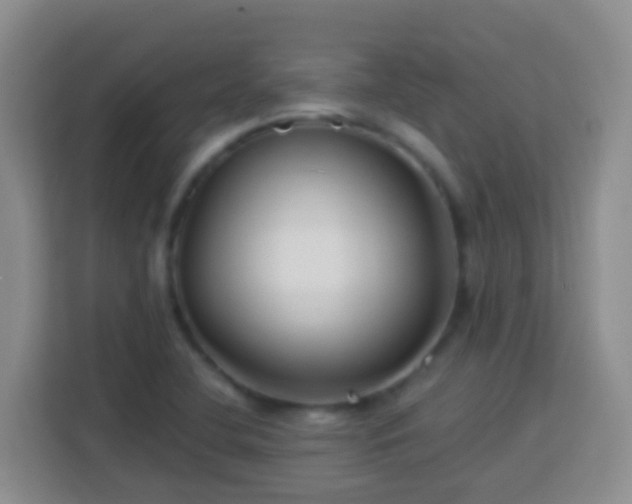 X0000114081412200910051349