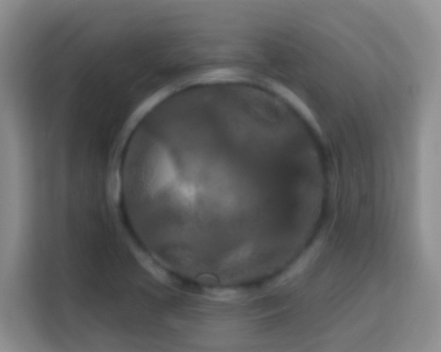 X0000114081413200910051349