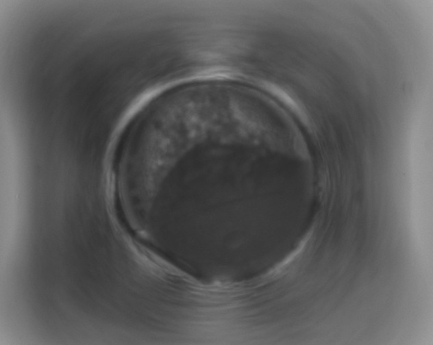 X0000114081414200910051349