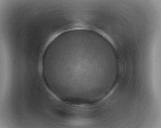 X0000114081415200910051349