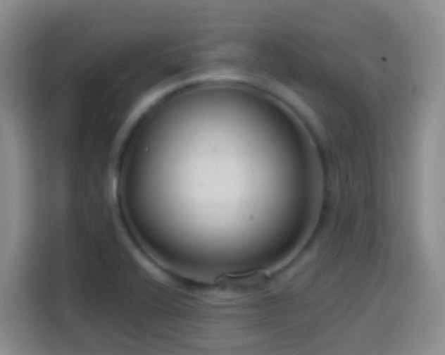 X0000114081416200910051349