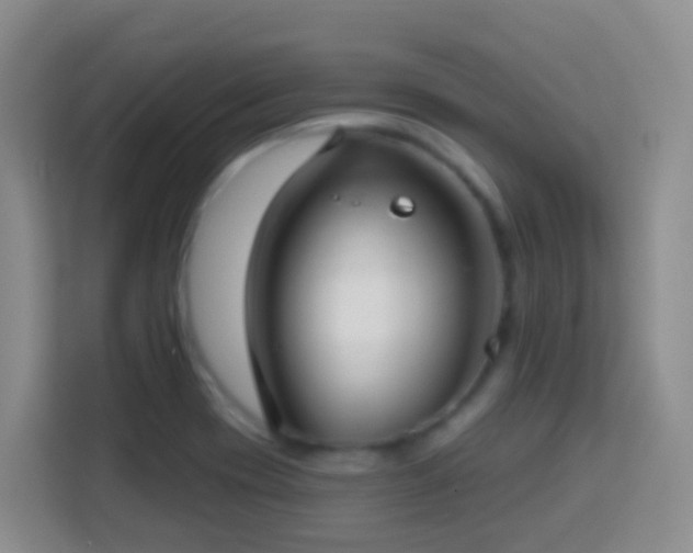 X0000114081417200910051349