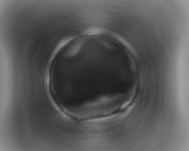 X0000114081418200910051349