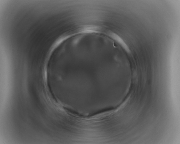 X0000114081419200910051349