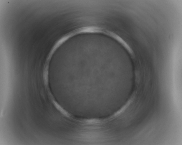 X0000114081421200910051349