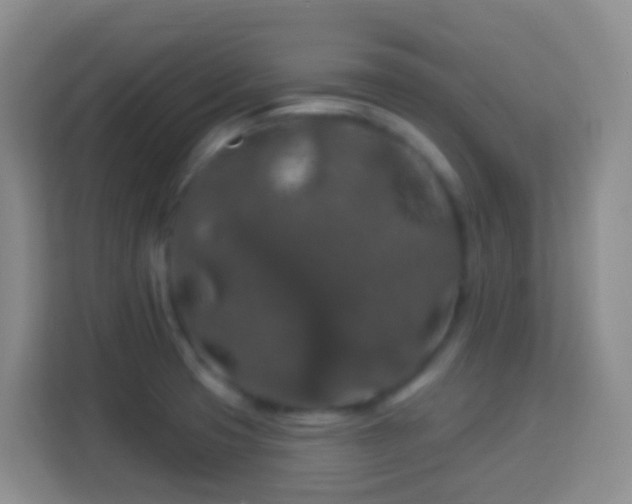 X0000114081425200910051349