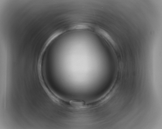 X0000114081426200910051349