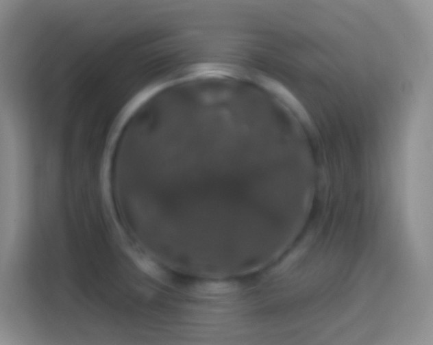 X0000114081427200910051349