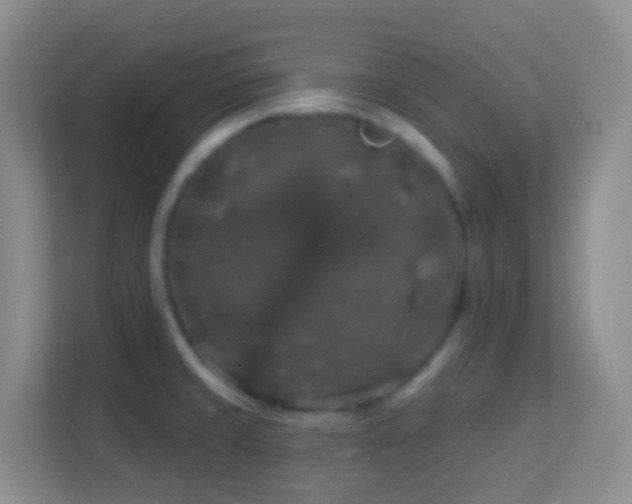 X0000114081429200910051349