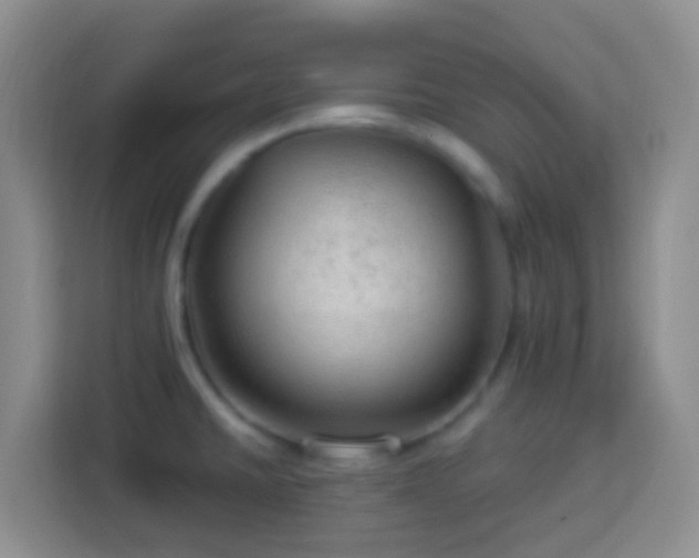 X0000114081430200910051349