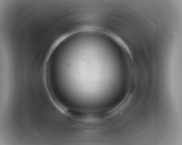 X0000114081437200910051349