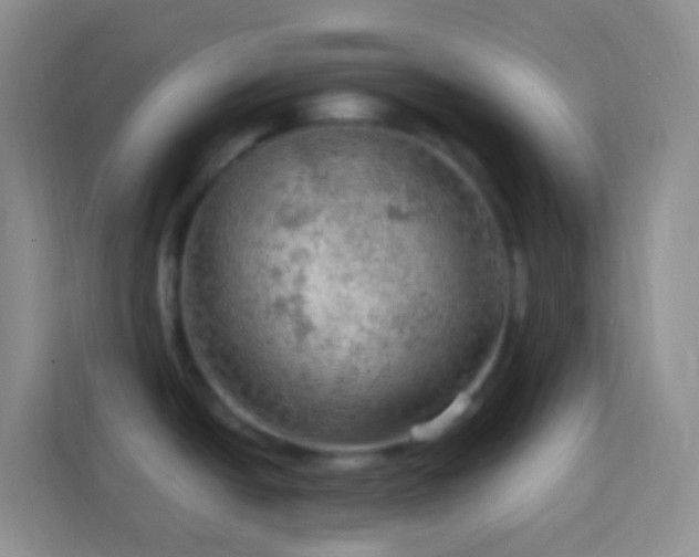 X0000114081438200910051349