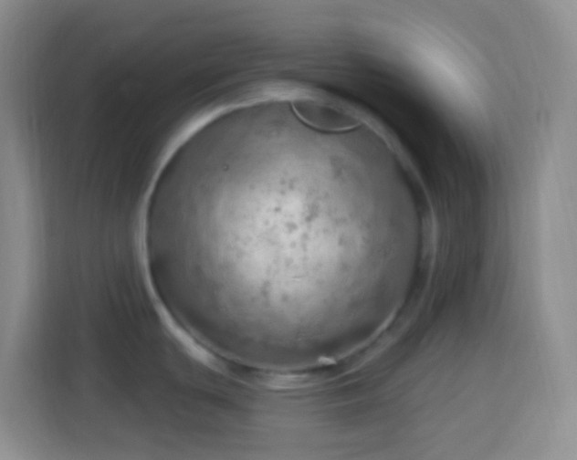 X0000114081439200910051349