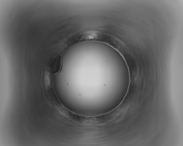 X0000114081442200910051349