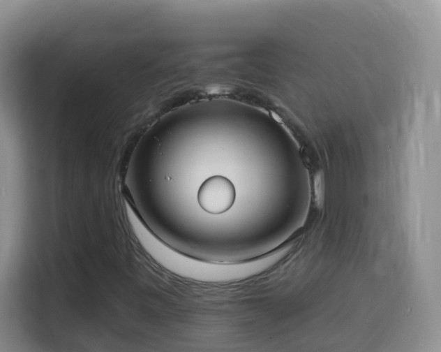 X0000114081443200910051349