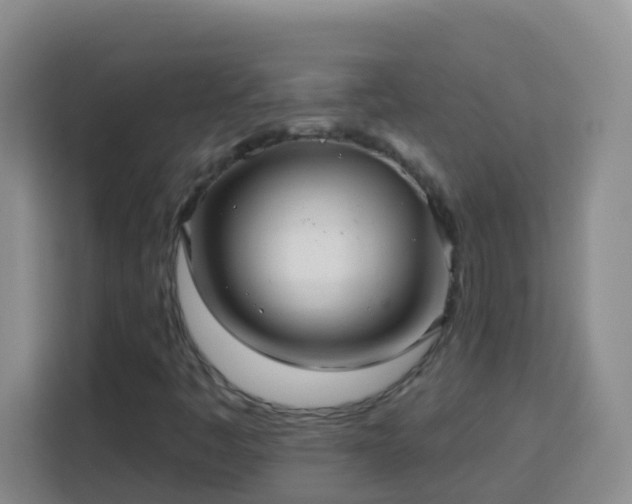 X0000114081445200910051349