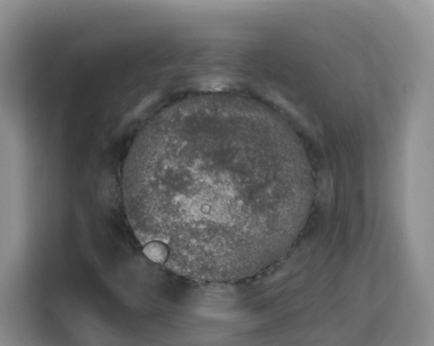 X0000114081446200910051349