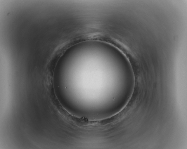 X0000114081447200910051349