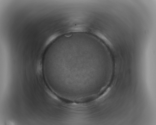 X0000114081450200910051349