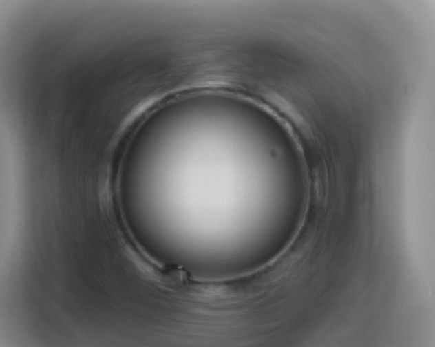 X0000114081452200910051349