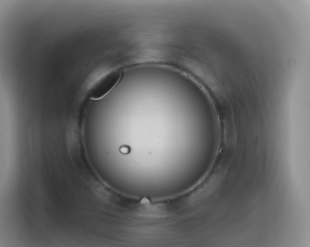 X0000114081453200910051349