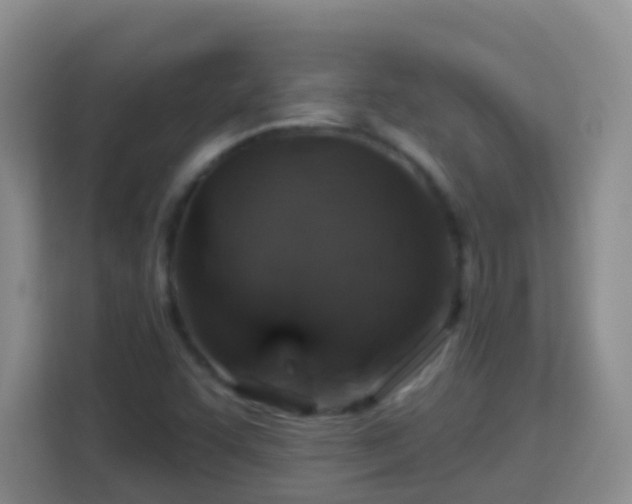 X0000114081455200910051349