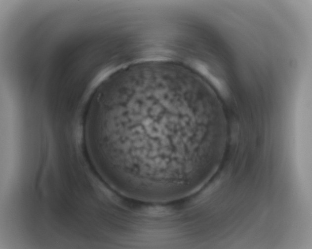 X0000114081459200910051349