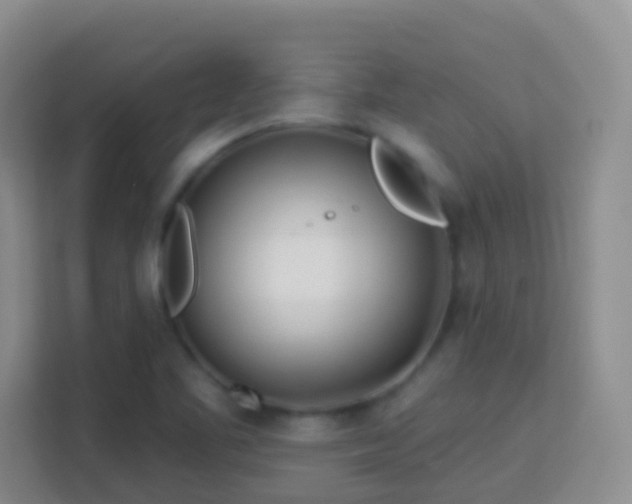 X0000114081461200910051349