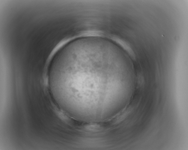 X0000114081462200910051349