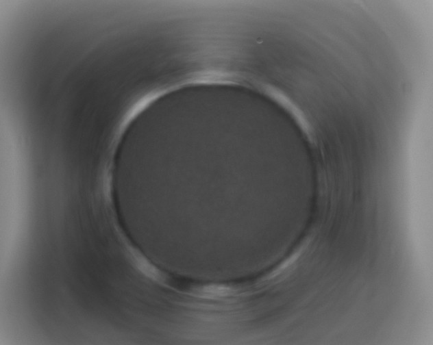 X0000114081463200910051349