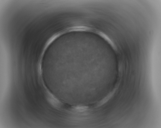 X0000114081466200910051349