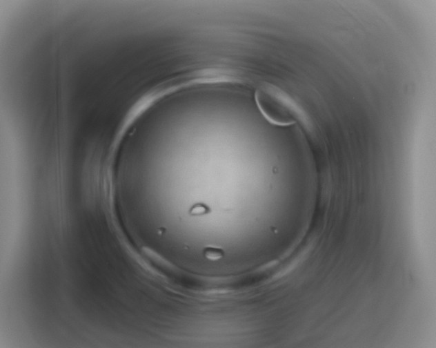 X0000114081467200910051349