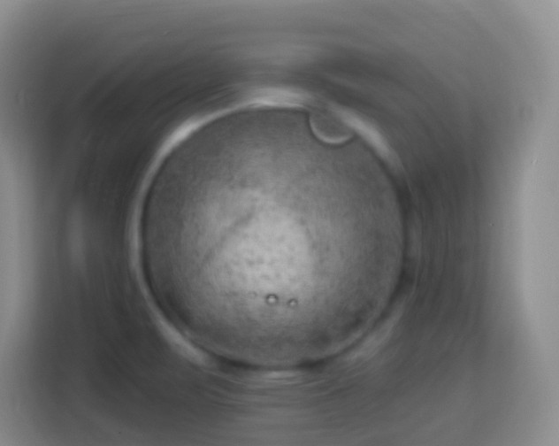 X0000114081471200910051348