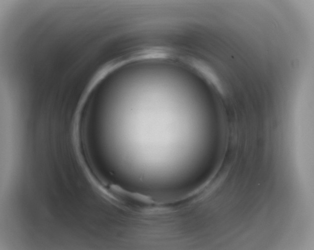 X0000114081475200910051348