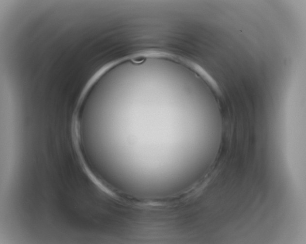 X0000114081476200910051348