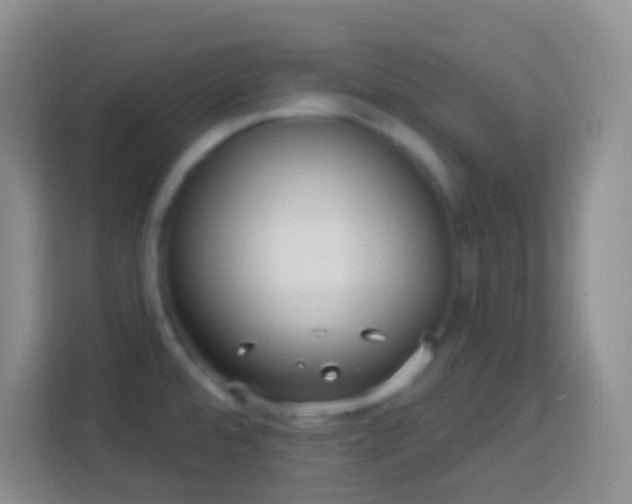 X0000114081480200910051348