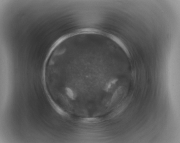 X0000114081482200910051348