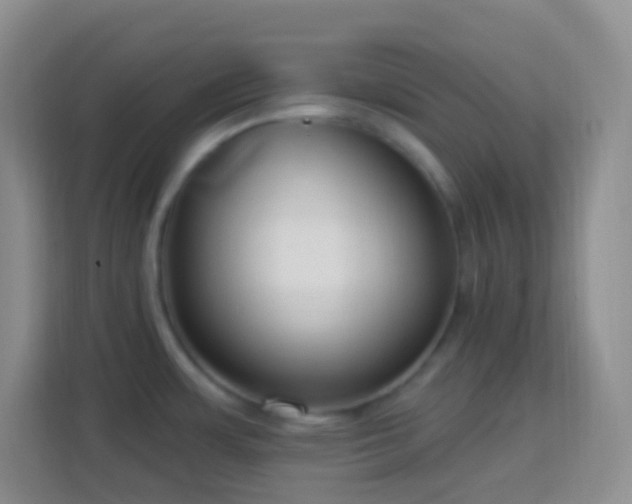 X0000114081483200910051348