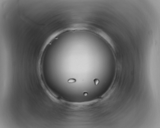 X0000114081485200910051348