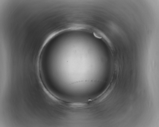 X0000114081487200910051348