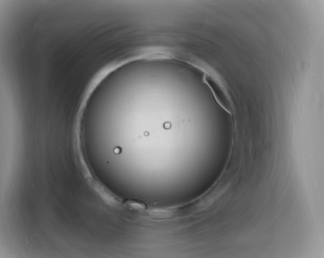 X0000114081488200910051348