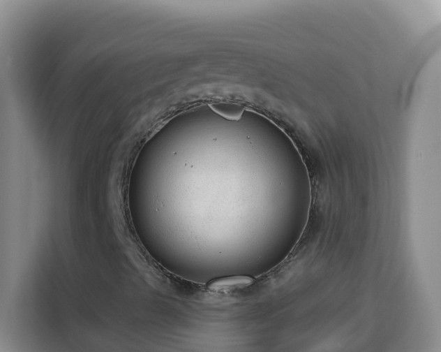 X0000114081489200910051347